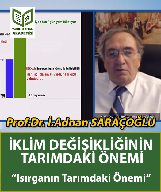 Prof.Dr. İbrahim Adnan Saraçoğlu
