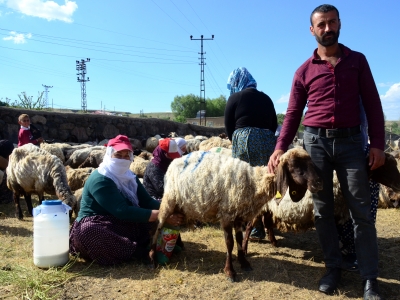Bitlis’te huzur ortamı tarımı canlandırdı