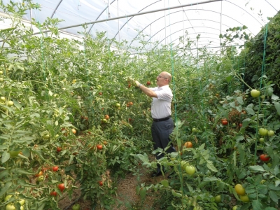 Çankırı’da genç çiftçi projesi meyvelerini verdi