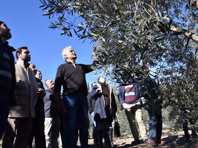 Antalya'da meyve ağacı budama eğitim seferberliği