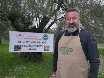 Organik Zeytin Köyü sertifikalı üretim yapacak