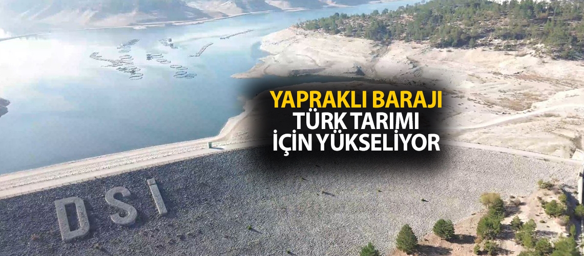 Yapraklı Barajı Türk tarımı için yükseliyor