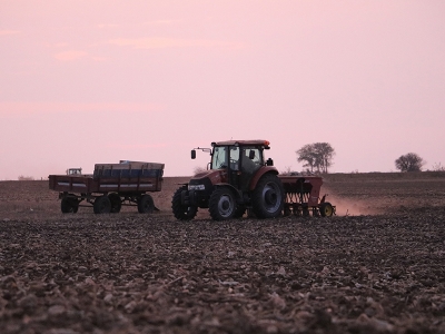 Edirne’de buğday ekimi tamamlandı