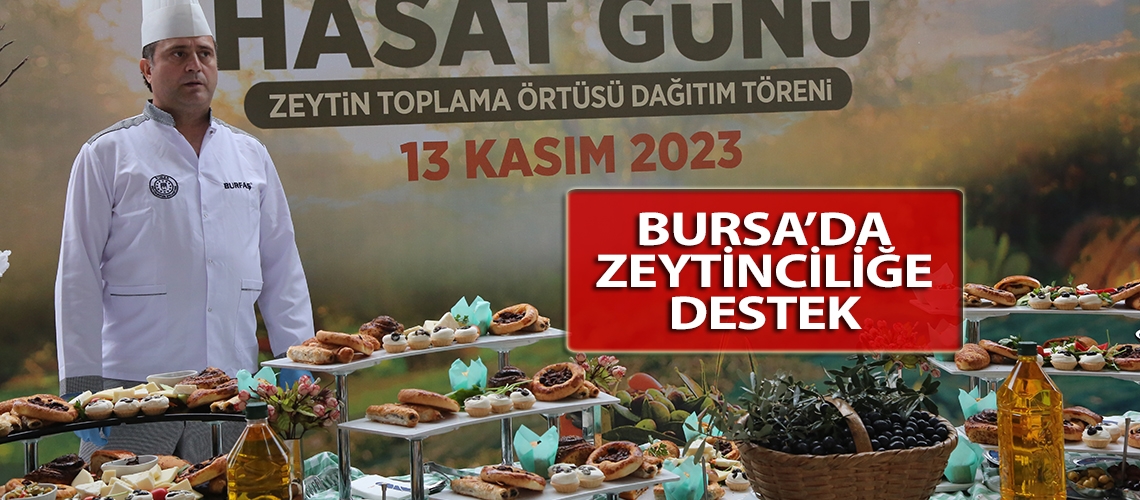 Bursa’da zeytinciliğe destek