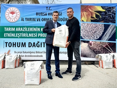 Bursa’da üreticilere ayçiçeği tohumu dağıtıldı