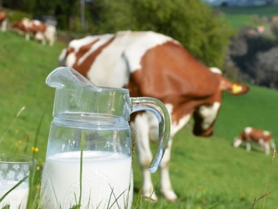 Süt sektörü 20 milyar liralık ciroya ulaştı