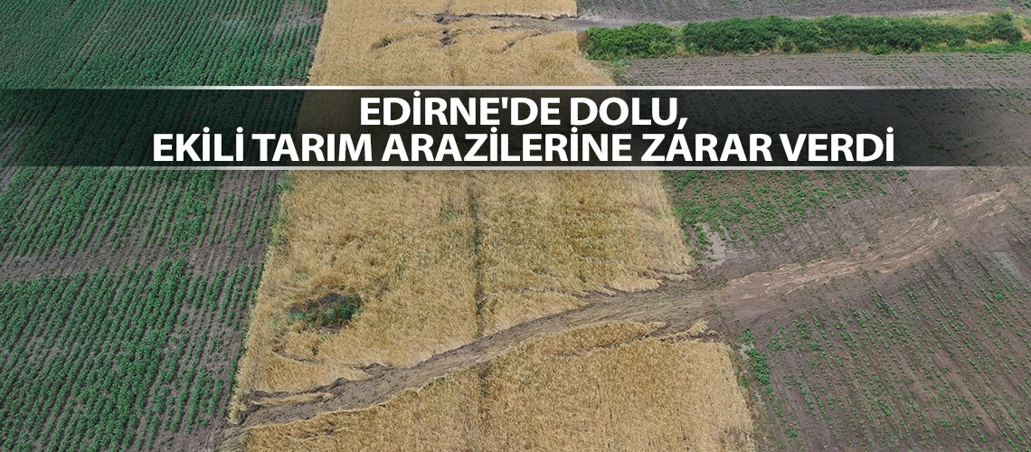 Edirne'de dolu, ekili tarım arazilerine zarar verdi