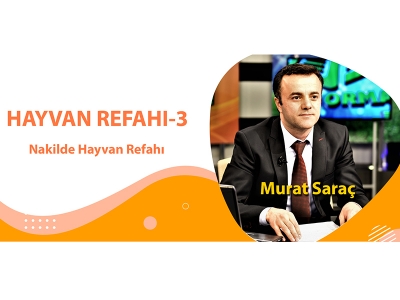 HAYVAN REFAHI -3 ( Nakilde Hayvan Refahı )