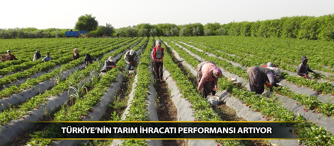 Türkiye’nin tarım ihracatı performansı artıyor