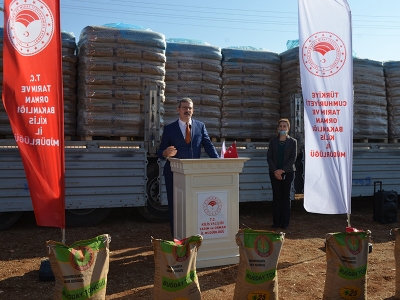 Kilis'te 520 ton buğday tohumu dağıtıldı