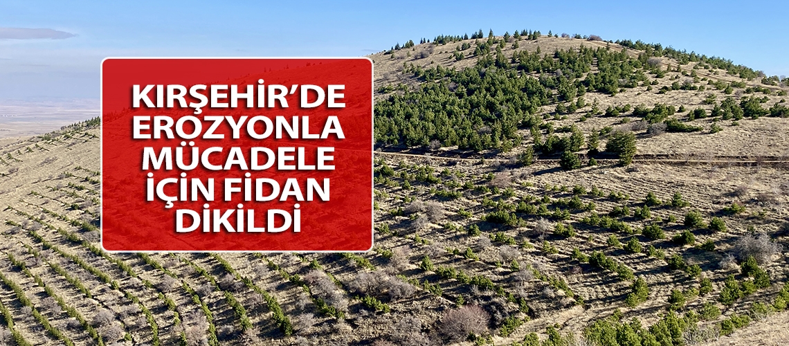 Kırşehir’de erozyonla mücadele için fidan dikildi