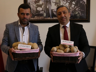 İki yeni patates çeşidinin satışına başlanacak