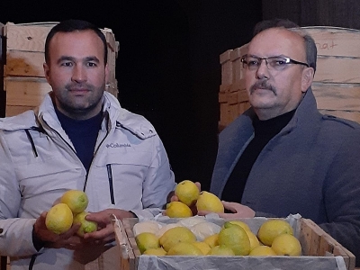 Akdeniz’in limonu Kapadokya’da depolanıyor