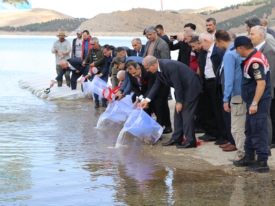 Elazığ'daki baraj göllerine sazan yavruları bırakıldı