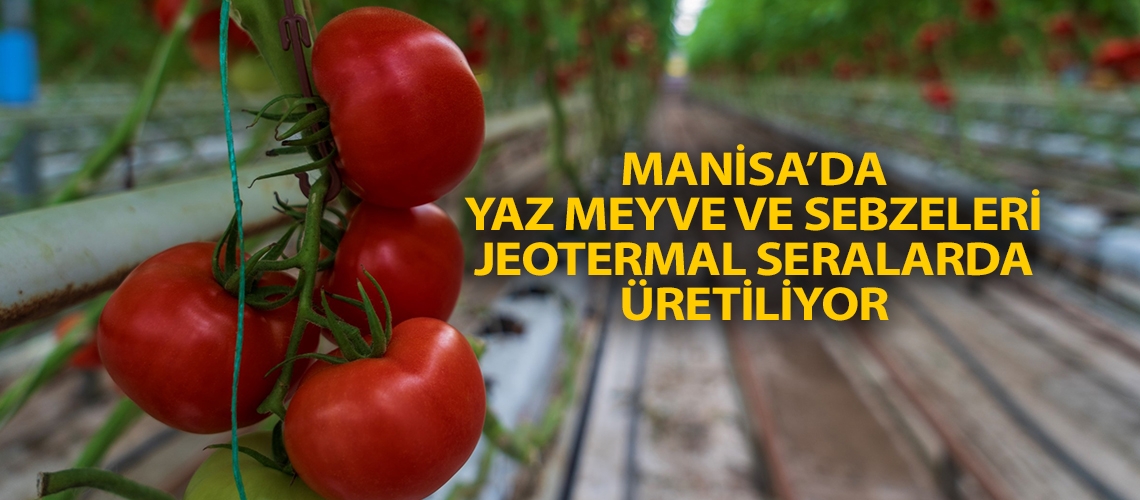 Manisa’da yaz meyve ve sebzeleri jeotermal seralarda üretiliyor