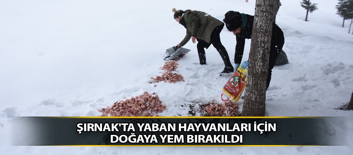 Şırnak'ta yaban hayvanları için doğaya yem bırakıldı