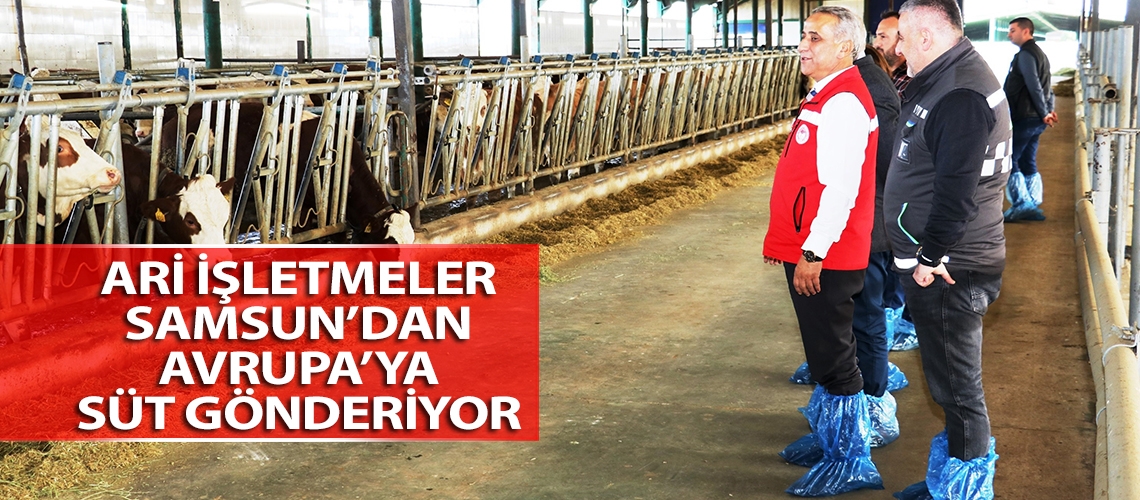 Ari işletmeler Samsun’dan Avrupa’ya süt gönderiyor