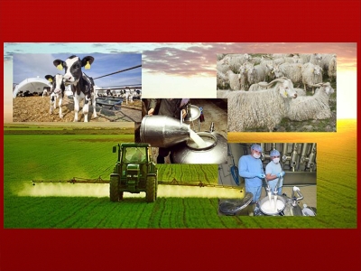 Çiftçiye tarımsal destek