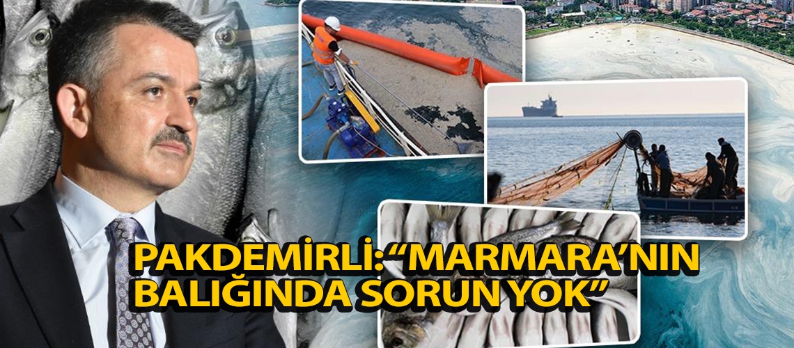 Pakdemirli: “Marmara’nın balığında sorun yok”