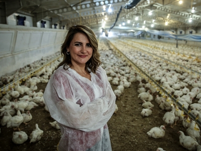 Girişimci kadından 50 bin kapasiteli tavuk çiftliği