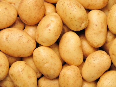 Bitlis'te 200 bin ton patates üretildi