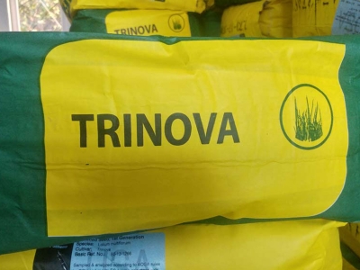 Lapseki’de üreticilere trinova tohumu dağıtıldı