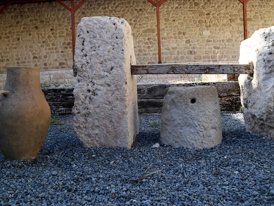 Doğu Akdeniz'in ilk zeytincilik müzesi Hatay’da açılıyor