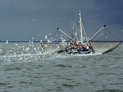 Kıyı balıkçılığı destekleri için son tarih 3 Kasım