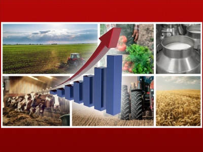 Tarım sektörü yüzde 3,3 büyüdü