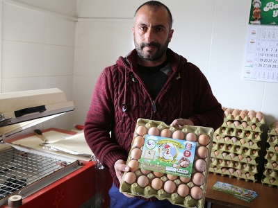 Çadırda ürettiği yumurtaları Türkiye'ye pazarlıyor