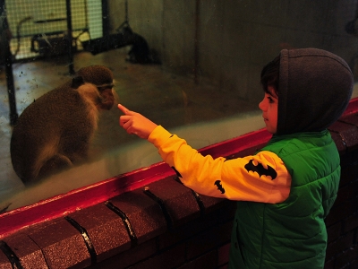 Gaziantep Hayvanat Bahçesi turistlerin uğrak yeri