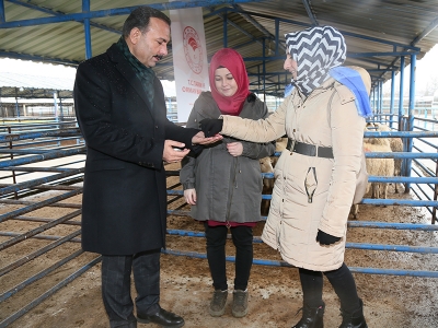 Bursa’da genç üreticilere küçükbaş hayvanları teslim edildi