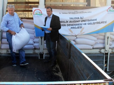 Yalova’da çiftçilere 26 ton buğday tohumu dağıtıldı