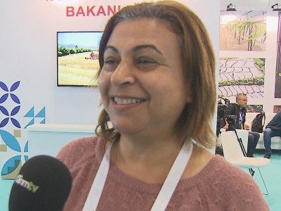 Zeytin üreticisi kadın Antalya’da bir ilki başardı