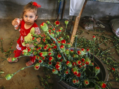 Anneler Günü için 45 milyon dal çiçek satıldı