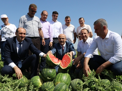 1 milyon ton karpuzu Adana yetiştiriyor