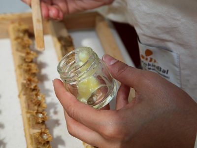 Ordu arı sütü üretiminde iddialı