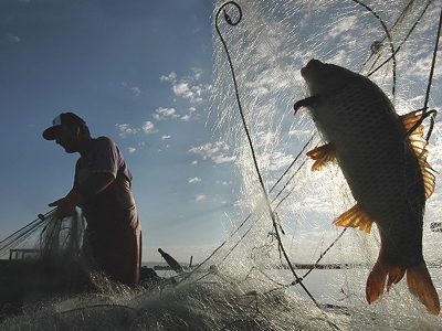 Balıkçılık av yasakları başladı