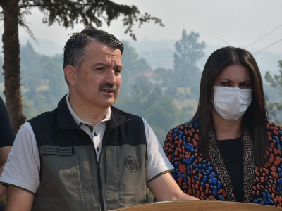 Adana’daki orman yangını kontrol altında