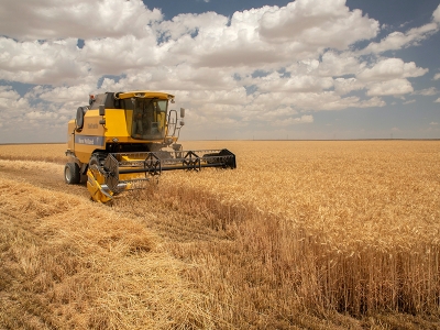 Salgına rağmen tarım sektörü büyüyor
