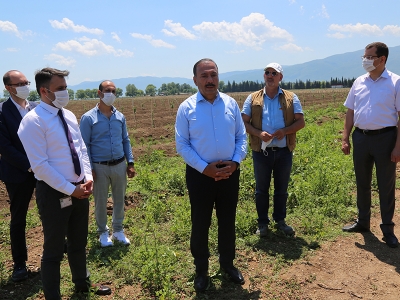 Teknolojik tarım merkezi Bursa’da kuruluyor