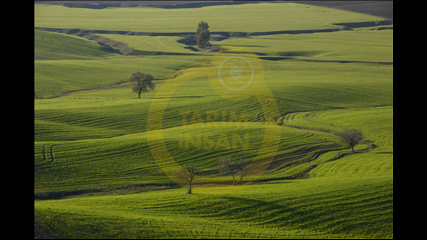 Abdullah Toker - Yeşil Dünya
