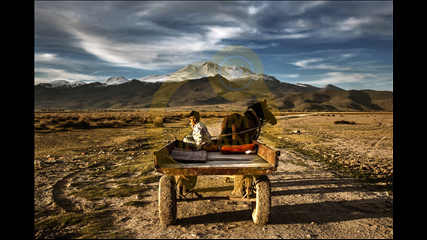 Abdullah Ümit Canan - Arabacı