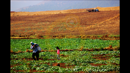 Abdüssamed Serdaroğlu - Nesilden Nesile