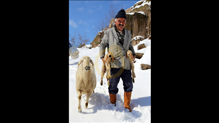 Adem Koçak - İkizlerin Doğumu