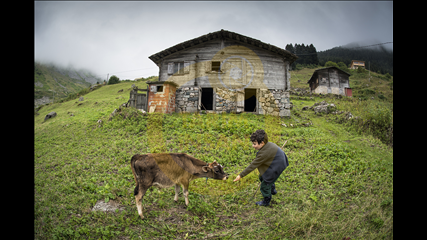Ahmet Çetintaş - Arkadaş