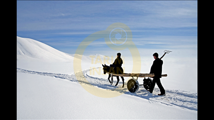 Ahmet Fatih Sönmez - İsimsiz4