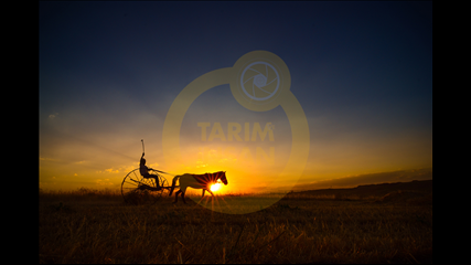 Ahmet Harmancı - Emektar