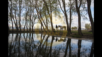 Ahsen Canan - Atçı