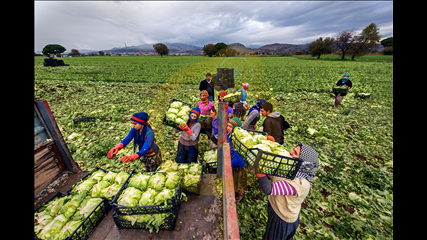 Alahattin Kanlıoğlu - 1